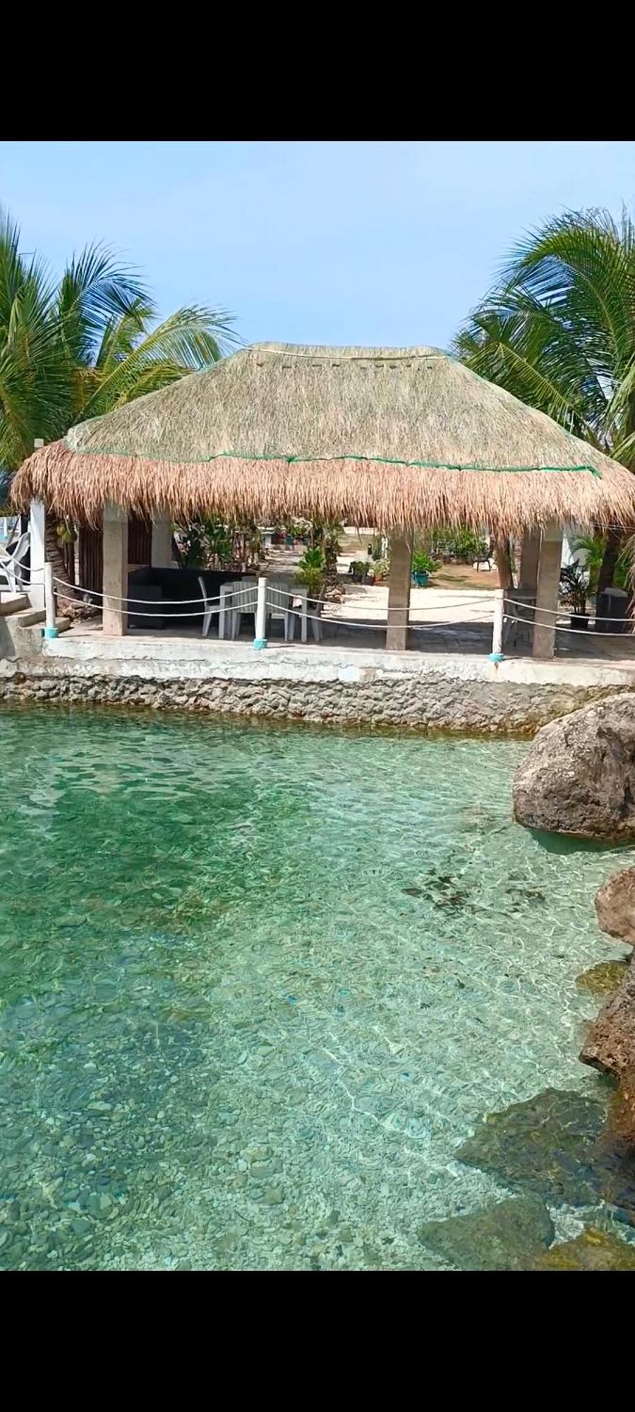 Seascape Beach Resort Oslob Eksteriør bilde