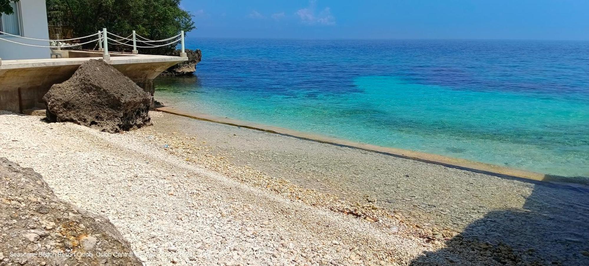 Seascape Beach Resort Oslob Eksteriør bilde