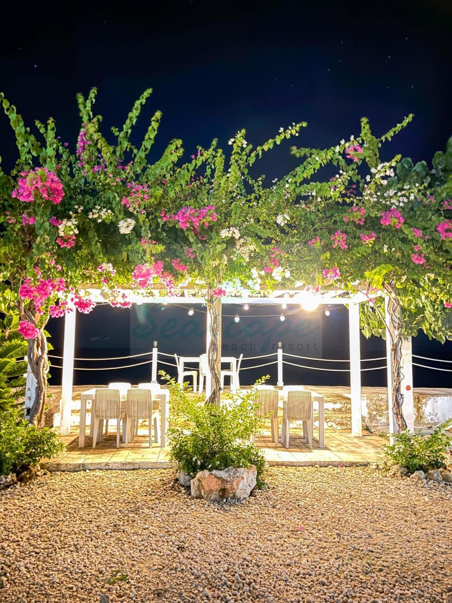 Seascape Beach Resort Oslob Eksteriør bilde